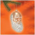 Ornament - Charles Darwin