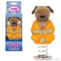 Dashboard - Pug Budda