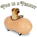Pull Back - Pug in a Peanut