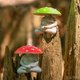 Meditating Mushrooms
