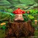 Ornament Meditating Mushroom