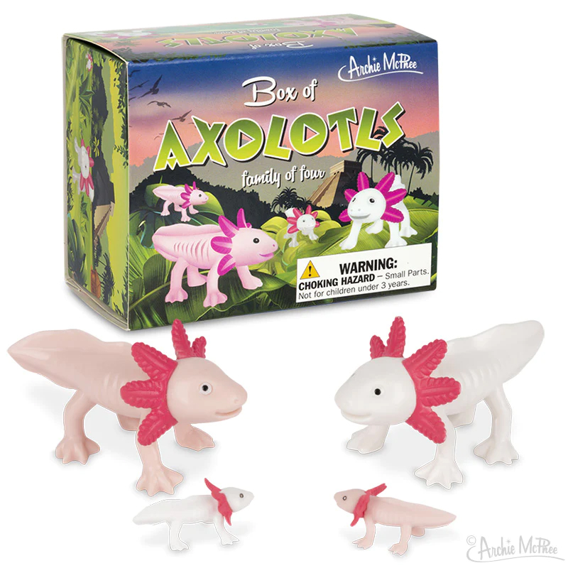 Axolotls Family Box