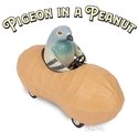 Pull Back - Pigeon in a Peanut