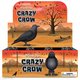 Wind Up - Crazy Crow