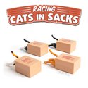 Racing Cats in Sacks